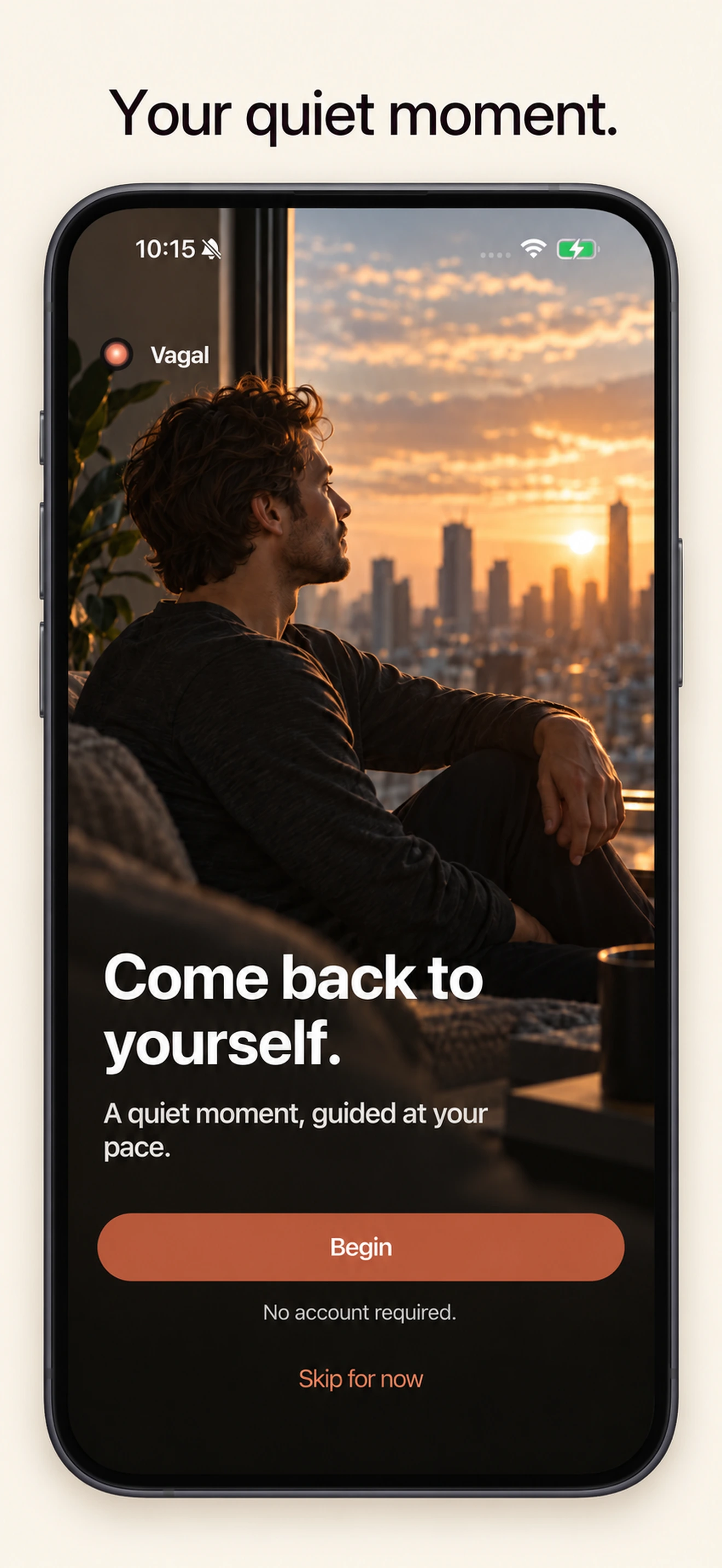 Vagal welcome screen on iPhone